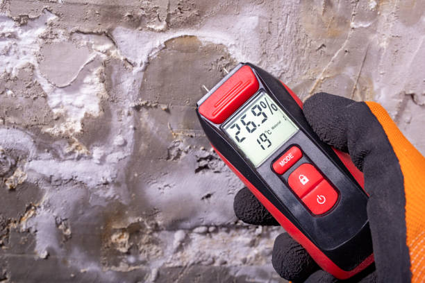 Best Attic Mold Removal  in Ashton, ID