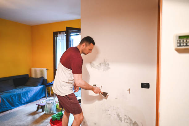 Best Office Mold Removal Services  in Ashton, ID