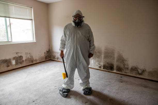 Ashton, ID Mold Removal Company